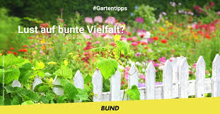 Weitere ideen zu garten, pflanzen, gartentipps. Bund Garten Tipps Bund Aktion