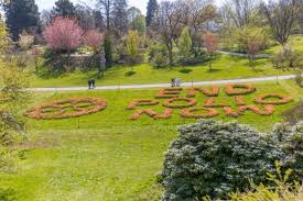 Am rombergpark, 44225 dortmund, deutschland adresse. Mehr Als 20 000 Tulpen Bluhen Im Botanischen Garten Rombergpark Wir In Dortmund