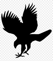 They most often hunt prey from a perched position. Hawk Bird Animal Shape Comments Hawk Png Free Transparent Png Clipart Images Download
