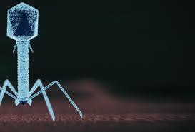 Image result for Virus