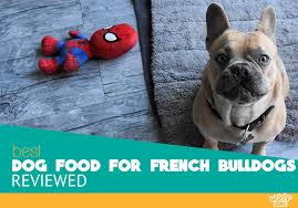 Best Dog Food For French Bulldogs Top 10 Recipes Reviewed