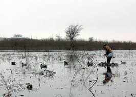 In years past, my partners and i have built blinds with backrooms, full kitchens, flush toilets, heating systems, electric lights, and other amenities. Mdwfp Building A Duck Paradise