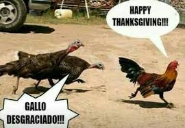 We know you love the holiday season, but cooking a thanksgiving dinner for your entire extended family can be exhausting. Llego El Pavo Jajajaaa Happy Thanksgiving Imagenes Chistosas Para Reir Memes Espanol Graciosos Chistes Para Reir