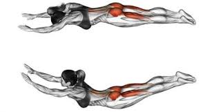 There are many exercises that target entire back. Back Workouts At Home Tricep Workouts