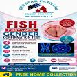 FISH POSTNATAL GENDER CONFIRMATION TEST product image