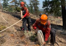 Wildfires are a real and present danger, especially if you live in a grasslands region or have a heavily forested area. Bc Wildfire Service Continue To Ramp Up Mitigation Efforts In Pg Area My Prince George Now