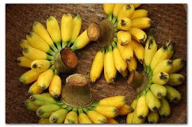 Chances are that if you smell something bad, the. Do Bananas Go Bad