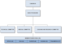 Organizational Structure International Organization For