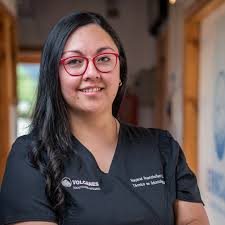 Odontología Volcanes Melipeuco (@odontologiavolcanes) · Melipeuco