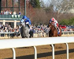 Kentucky derby odds are on the board for the biggest horse race of the year. Highly Motivated Derby Horse S Jockey Trainer Owner Bloodline