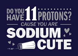 Do You Have 11 Protons T Shirt Snorgtees Nerdy Pick Up Lines Pick Up Lines Pick Up Lines Cheesy