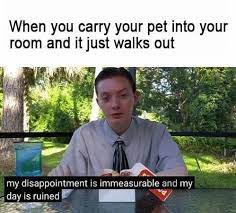 More images for my day is ruined meme gif » My Disappointment Is Immeasurable And My Day Is Ruined Know Your Meme