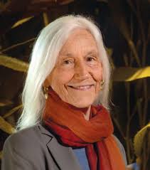 Shorelines Fall/Winter 2025 by MontereyBayAquarium