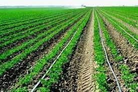 Sujay Irrigation Are One Among The Drip Irrigation Manufacturers Drip Irrigation System Is A Watering Syste Drip Irrigation System Irrigation Drip Irrigation