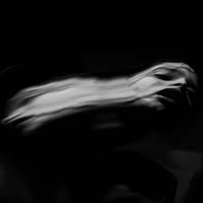 Dir En Grey Discography 16 Albums 35 Singles 3 Lyrics 175 Videos Jpopasia Dir en grey has announced that they will be streaming uroboros at budokan the movie worldwide on ustream! dir en grey discography 16 albums 35