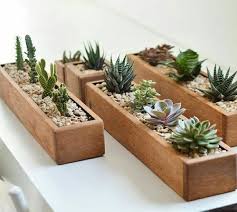 Container Ideas For Your Indoor Succulents Flowers And Plants Be Creative Gardens Container Creative Flowers Plants Succulents House Plants Decor