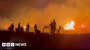 Watch: Algerians look on as deadly wildfires rage through night