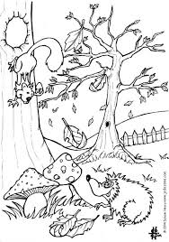 Select one of 1000 printable coloring pages of the category animals. Pin On Kolorowanki