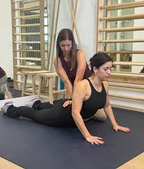 Image result for McKenzie Method