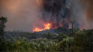 Φωτιά τώρα κοντά σε σπίτια στη σαλαμίνα. Fwtia Twra Pyrkagia Sta Megara Attikhs Ellada Thepressroom Gr