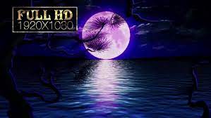 We did not find results for: Beautiful Full Moon By Nguluidu Videohive
