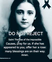 DO NOT REJECT Saint Therese of the Impossible Causes, pray for us. If she  has appeared to you, offer her a rose: many blessings are