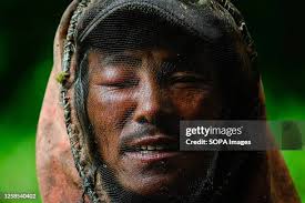 469 Bee Hunter Stock Photos, High-Res Pictures, and Images