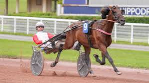FALCO KILLER GAR (résultats et engagements) | LETROT