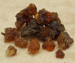 Image result for Commiphora kua