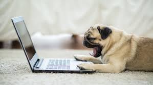 Make sure the automatically manage paging file size for all drives check box is selected. 6 Ways To Speed Up Your Old Laptop So It Feels New Again Reviewed