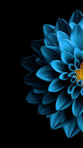 Wallpaper Bloem Achtergrond Wallpaper Achtergronden Iphone Achtergrond