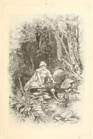Hermann Vogel Illustration Faery Art Illustration Fairy Tales