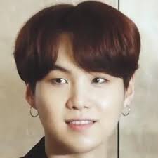 Suga's latest video of meeting megan thee stallion has gone viral on social for a special reason. Suga Bio Family Trivia Famous Birthdays