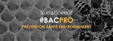 Sujets d examen du cap petite enfance annales cap petite enfance session 2017 et precedentes en 2020 cap petite enfance. Bac Pro 2021 Sujet Et Corrige Prevention Sante Environnement