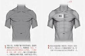 How to draw anime guys body with muscle. Experience How To Draw Anime To Draw A Male Torso Programmer Sought