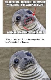 Here Is The Original Awkward Seal It Has Actually A Quite Normal Mouth Funny Animal Memes Really Funny Memes Animal Memes