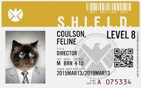 You can customize the card & invitation templates to meet unique needs. Make Your Own Agents Of S H I E L D Id Id Card Template Card Template Visiting Card Format