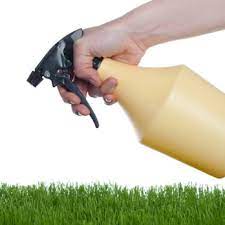 Rodents usually have litters of around five to eight babies at a time, so. A Five Star Termite Pest Control Pest Control San Antonio Tx Phone Number