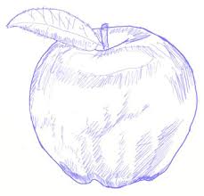 Misalnya, gambar buah apel yang ukurannya lebih besar daripada buah pepaya. 100 Sketsa Gambar Buah Yang Mudah Kamu Gambar
