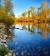 Landscape Design Boise Idaho