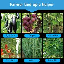 As they grow, you should train them to climb the tripod. Tying Tool Plant Tying Machine Tapener Tool With 10 Rolls Tape Garden Vineyard Plant Tying Machine Agriculture Tapener Hand Tying Machine Fix The Vine Plant 1 Staples Hand Tools Patio Lawn