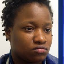 Woman facing charges for stabbing, damage to city property