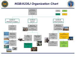 15 Rare National Guard Organization Chart