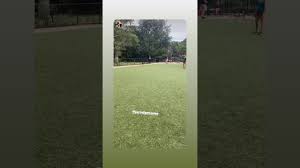 7995 kowaliga rd., eclectic, al 36024 • 334.857.3900 www.lakemartinminimall.com lake martin living. Weems Plott Hounds For Sale 07 2021