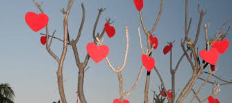 I'm wrong to have hurt you the way i did so i humbly ask for your forgiveness. Apology Letter To Your Boyfriend For Being Mean I M Sorry For Hurting You Read Romantic Short Stories Love Letters