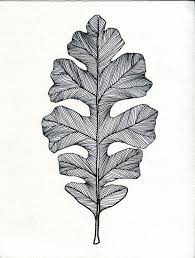 Pin By Erin Eberhardt On Drawings I M Drawn To Oak Leaf Tattoos Leaf Drawing Drawings