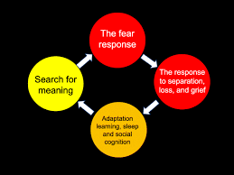 The asu health services website is arizona state university's official source of information about the novel coronavirus and important tips and precautions you can take to stay healthy. Disaster Management Of The Psychological Impact Of The Covid 19 Pandemic International Journal Of Emergency Medicine Full Text