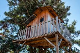 Below are 12 themes to get your ideas running. Diy Treehouse Tips