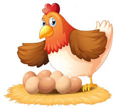 ¡se acercan las vacaciones de pascua! Grafico Vectorial Gallina Con Huevos Imagen Vectorial Gallina Con Huevos Depositphotos