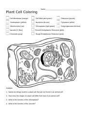 Best of animal cell coloring answer key animal cell coloring page answers Plant Cell Coloring Answer Key Lovely Biology Corner Plant Cell Coloring Sheet Of Plant Cell Colorin Plant Cell Coloring Name Cell Membrane Orange Course Hero